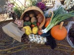 Desert Sage CSA Basket