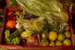 Desert Sage Week Eight Share