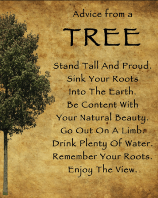 screen-shot-2016-09-15-at-11-53-38-am